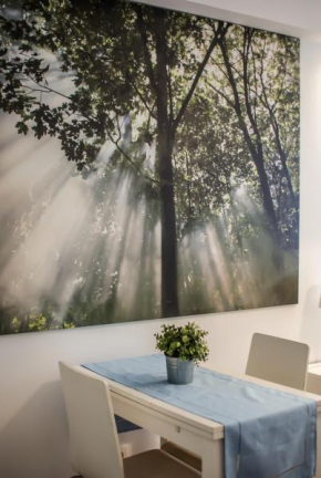 Rent a Studio Coimbra